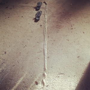 A snakeskin from a boa constrictor that I found under my house... but couldn't find the snake that went with it!